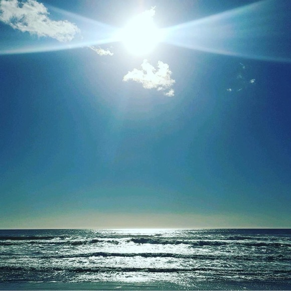 Meet your Posher, Marnie - Picture 16 of 17